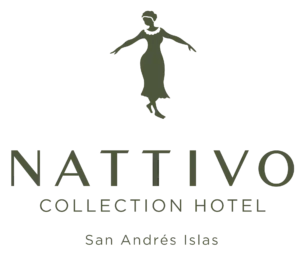 Copia+de+Logo+Nattivo+SAI+en+verde 1920w.png